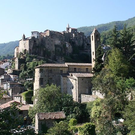 Villa Rustic Liguria Ceriana Exterior foto