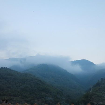 Villa Rustic Liguria Ceriana Exterior foto
