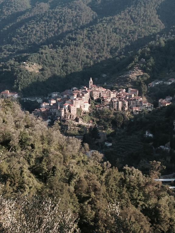 Villa Rustic Liguria Ceriana Exterior foto